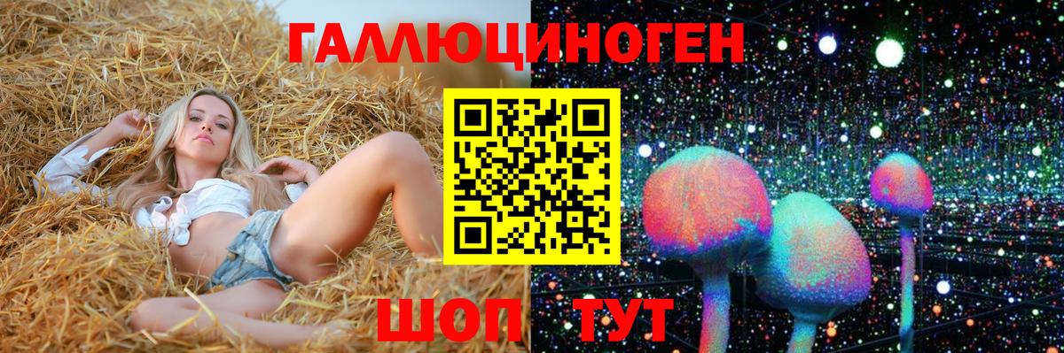 Галлюциногенные грибы Psilocybe Усинск